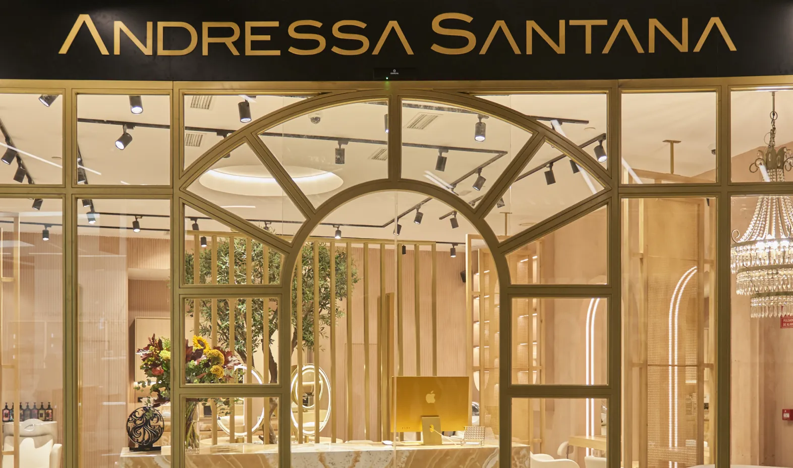 andressa-santana_servicios-3