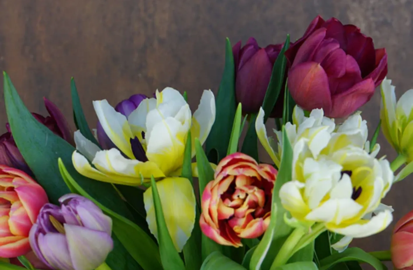 bloomen-atelier_servicios-2