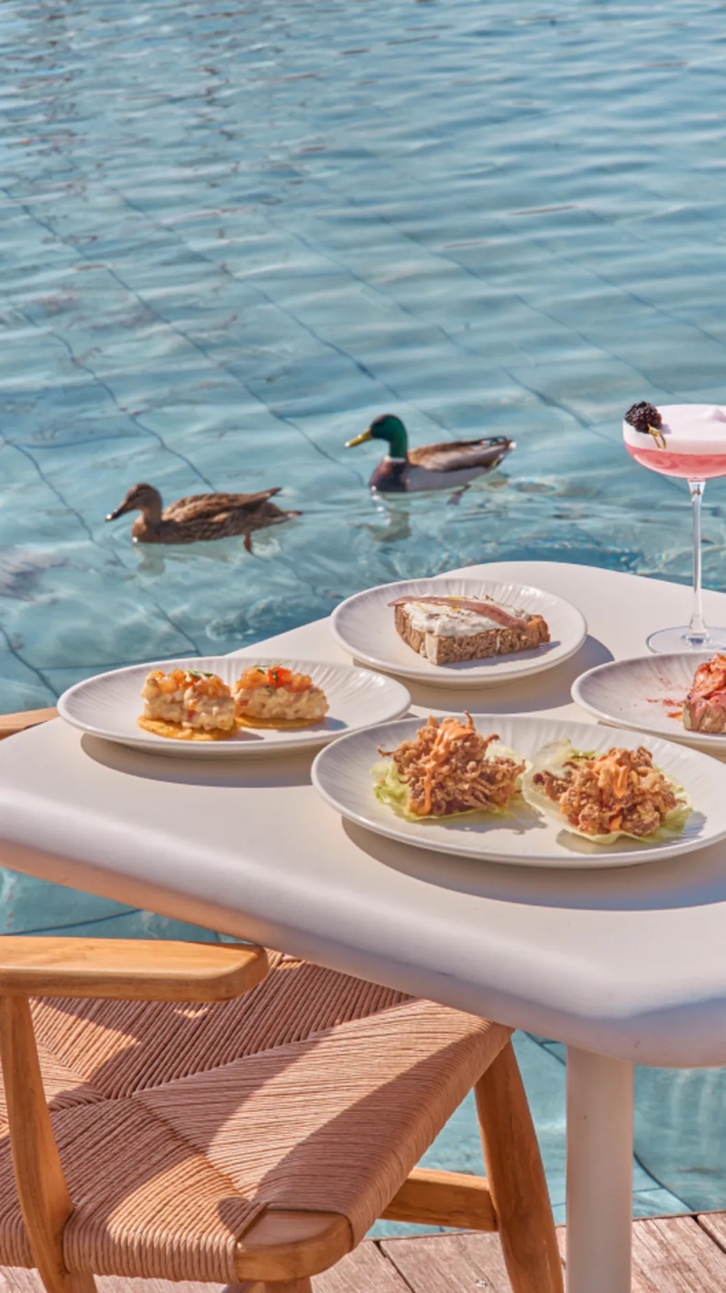 o-terraza-la-finca_estilo-gastronomico-2